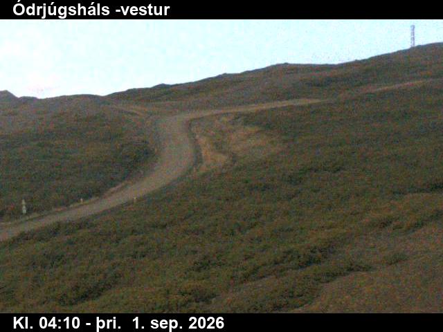odrjugshals_4-1788243946.jpg