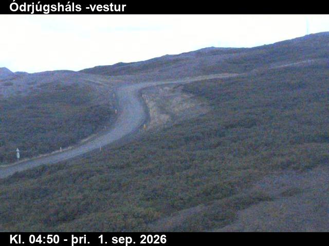 odrjugshals_4-1788246074.jpg