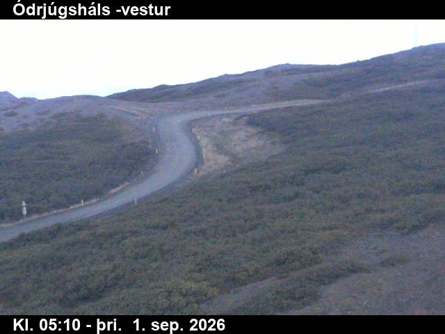 odrjugshals_4-1788247539.jpg