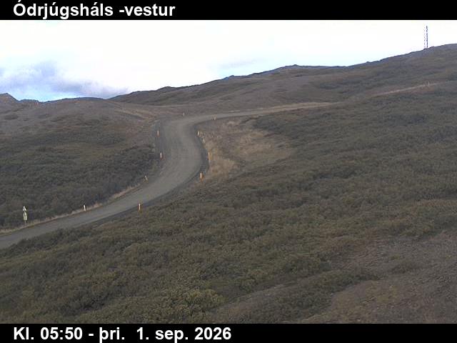 odrjugshals_4-1788249997.jpg