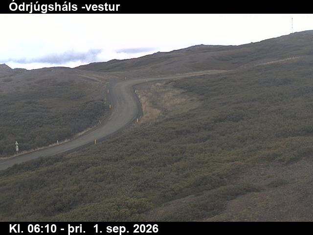 odrjugshals_4-1788251144.jpg