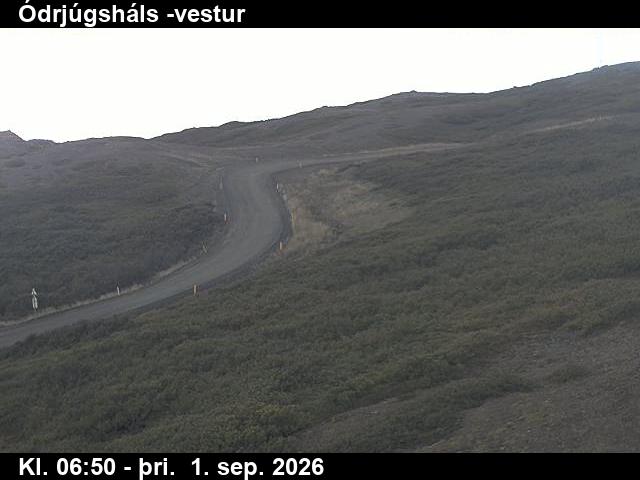 odrjugshals_4-1788253260.jpg