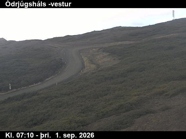 odrjugshals_4-1788254788.jpg