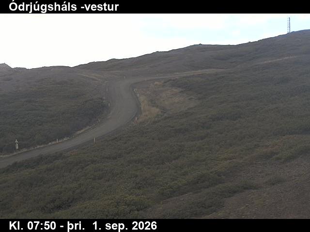odrjugshals_4-1788256884.jpg