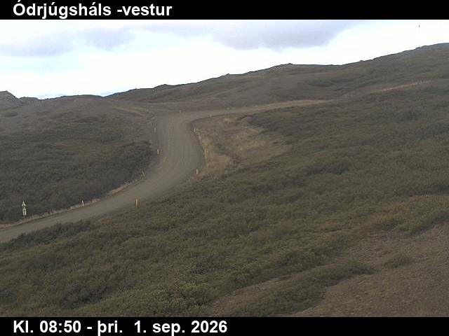 odrjugshals_4-1788260769.jpg