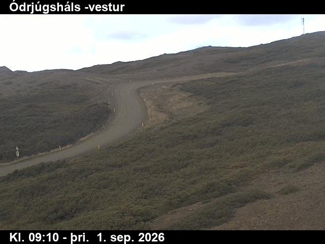 odrjugshals_4-1788261958.jpg