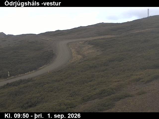 odrjugshals_4-1788264139.jpg