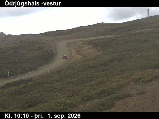 odrjugshals_4-1788265563.jpg