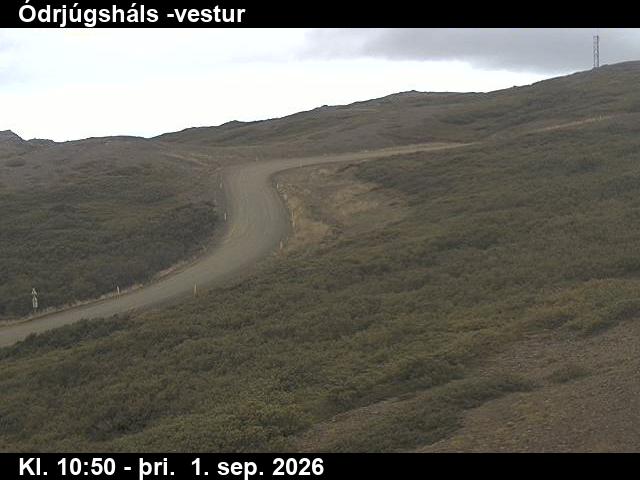 odrjugshals_4-1788267702.jpg