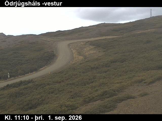 odrjugshals_4-1788269149.jpg