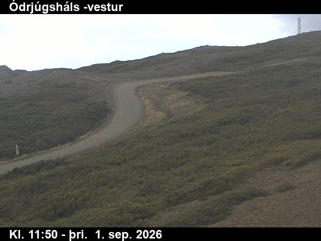 odrjugshals_4-1788271229.jpg