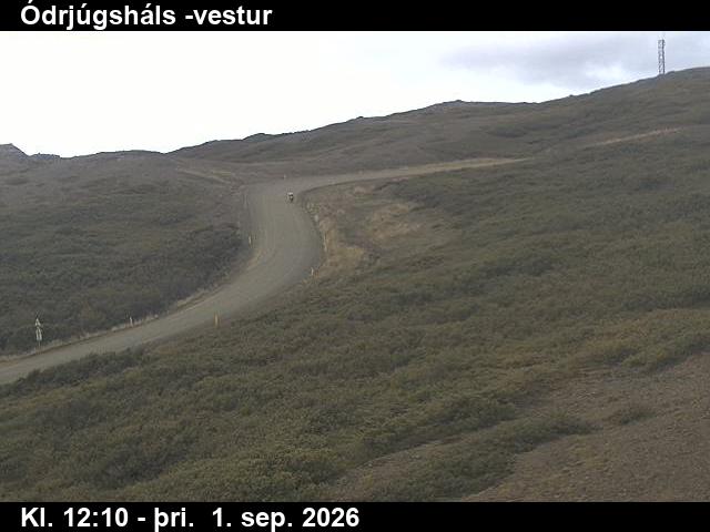 odrjugshals_4-1788272748.jpg
