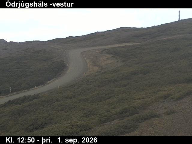 odrjugshals_4-1788274838.jpg