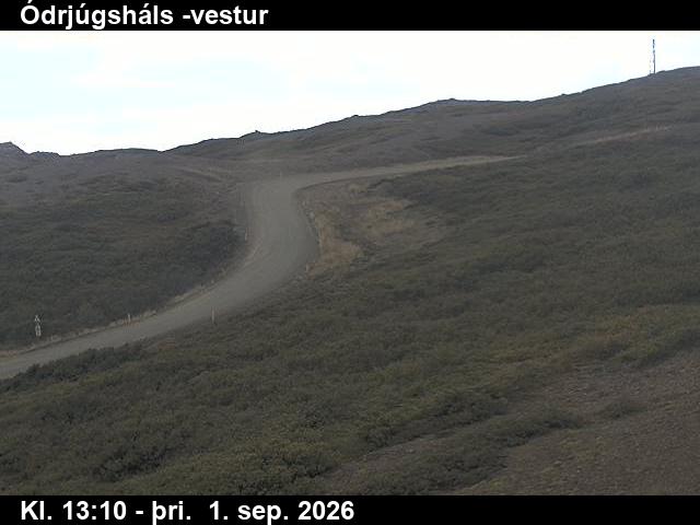odrjugshals_4-1788276345.jpg