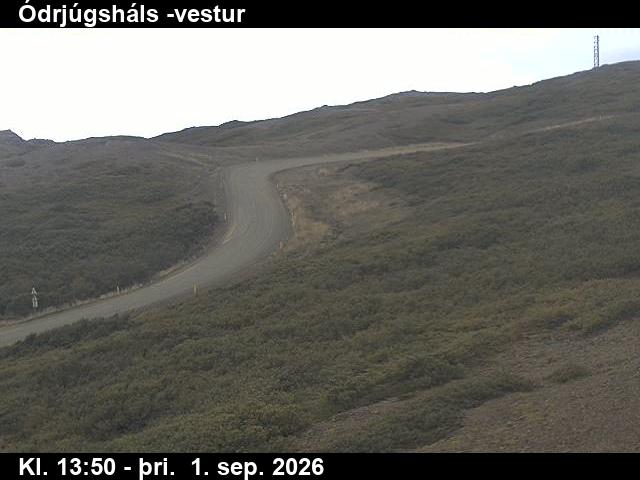 odrjugshals_4-1788278490.jpg