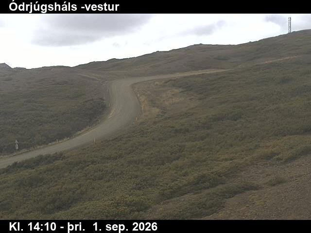 odrjugshals_4-1788279955.jpg