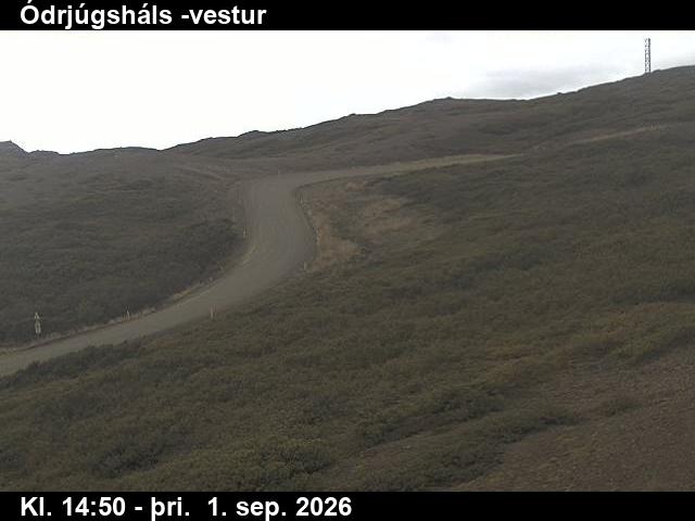 odrjugshals_4-1788282356.jpg