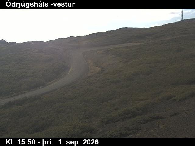 odrjugshals_4-1788285938.jpg