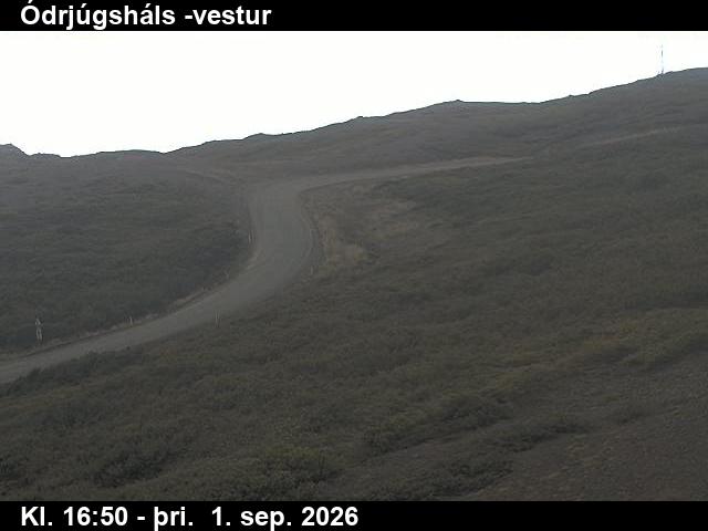 odrjugshals_4-1788289293.jpg