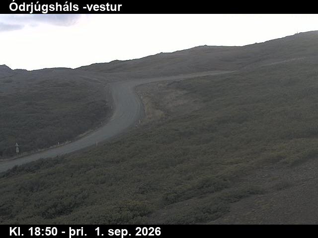 odrjugshals_4-1788296453.jpg