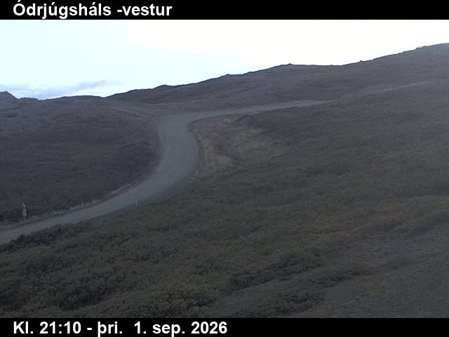 odrjugshals_4-1788305163.jpg