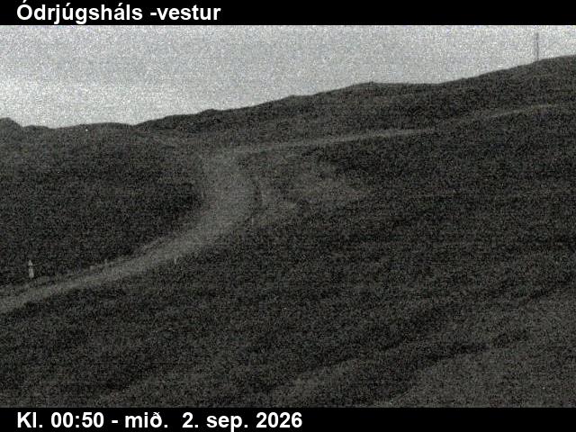 odrjugshals_4-1788318099.jpg