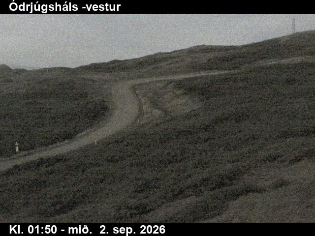 odrjugshals_4-1788321963.jpg