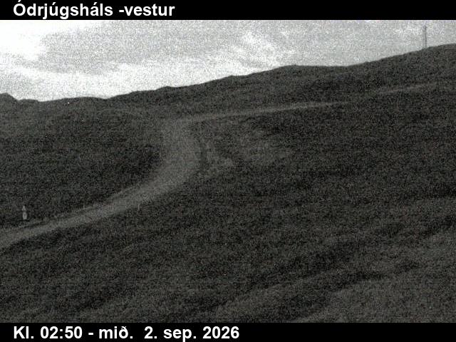 odrjugshals_4-1788325578.jpg