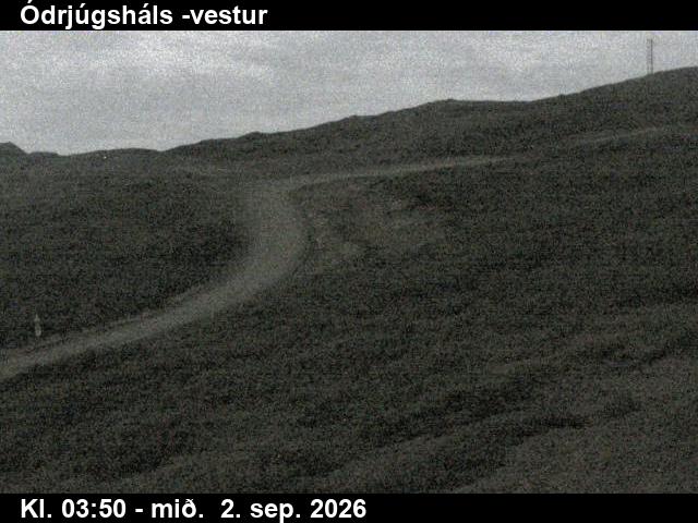 odrjugshals_4-1788328877.jpg