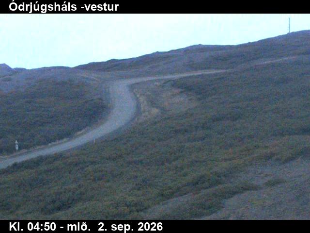 odrjugshals_4-1788332799.jpg