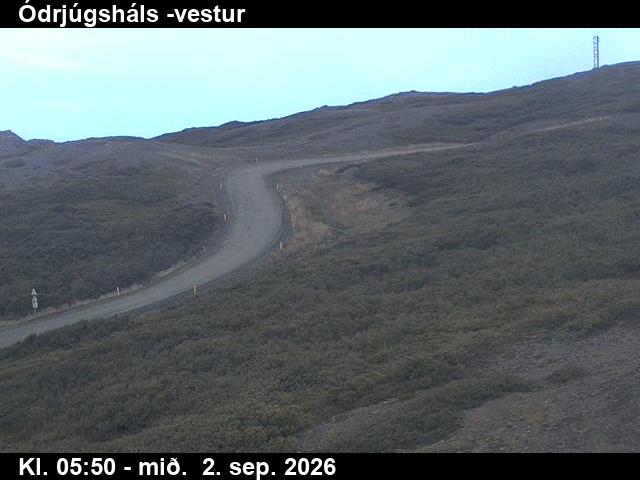 odrjugshals_4-1788336095.jpg