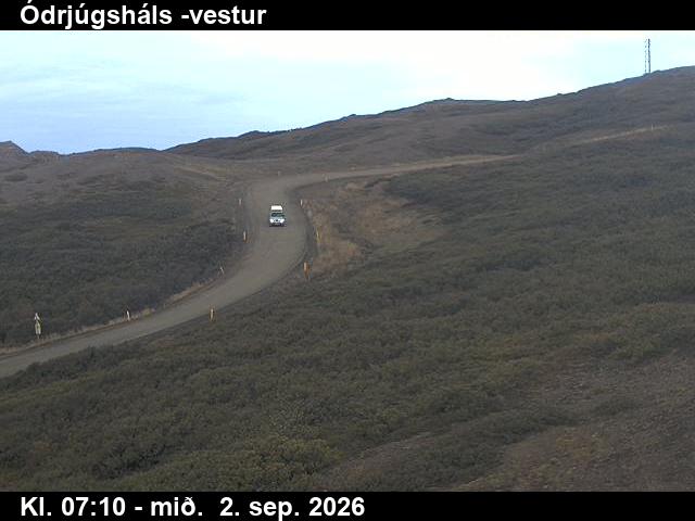 odrjugshals_4-1788341133.jpg