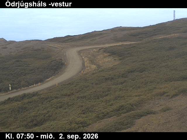 odrjugshals_4-1788343610.jpg