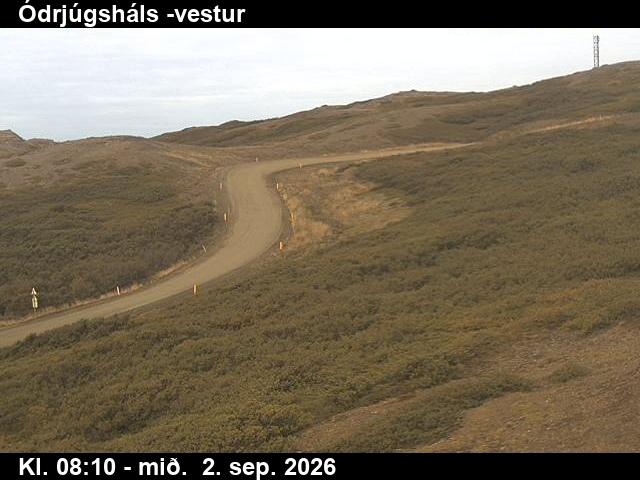 odrjugshals_4-1788344770.jpg