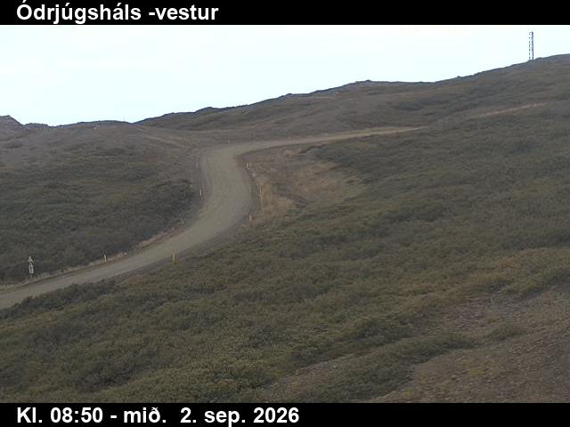 odrjugshals_4-1788346908.jpg