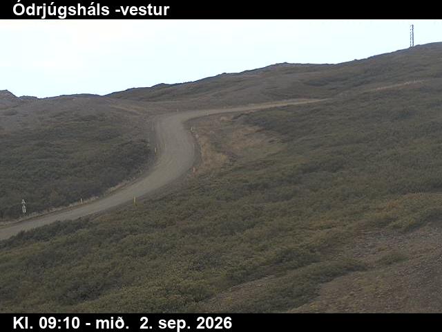 odrjugshals_4-1788348358.jpg