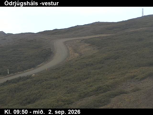 odrjugshals_4-1788350479.jpg