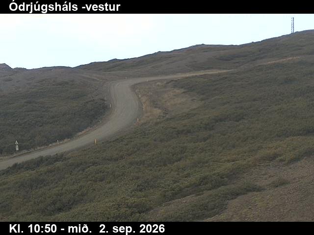 odrjugshals_4-1788354134.jpg