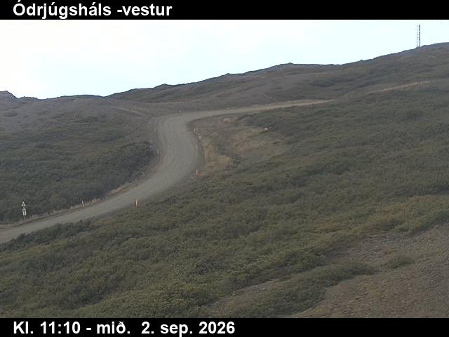 odrjugshals_4-1788355530.jpg