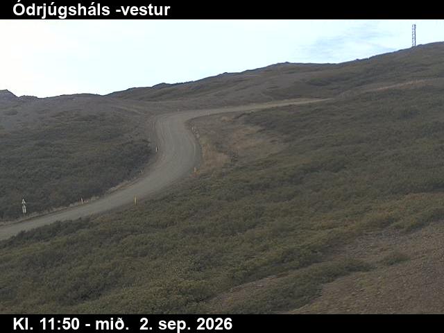odrjugshals_4-1788357662.jpg