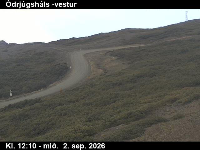 odrjugshals_4-1788359138.jpg
