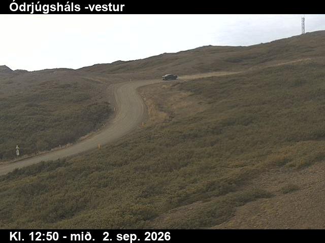 odrjugshals_4-1788361254.jpg