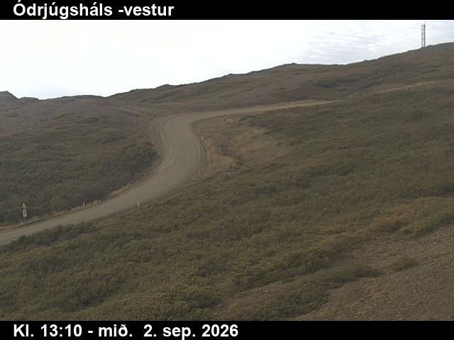 odrjugshals_4-1788362748.jpg