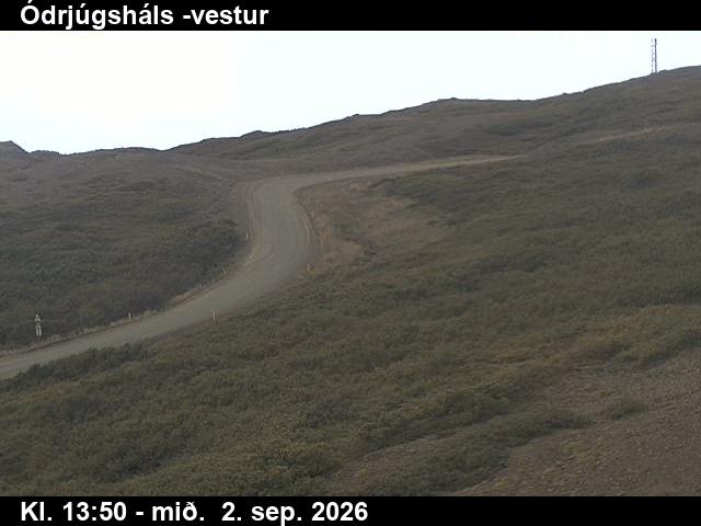 odrjugshals_4-1788364878.jpg