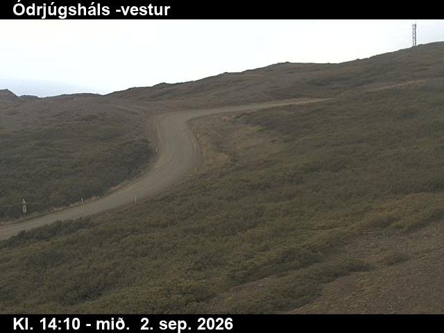 odrjugshals_4-1788366385.jpg