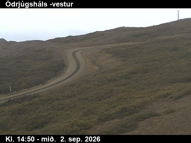odrjugshals_4-1788368448.jpg