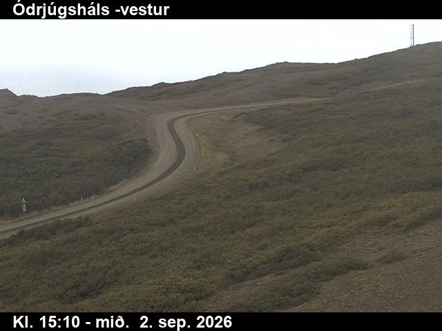 odrjugshals_4-1788369936.jpg
