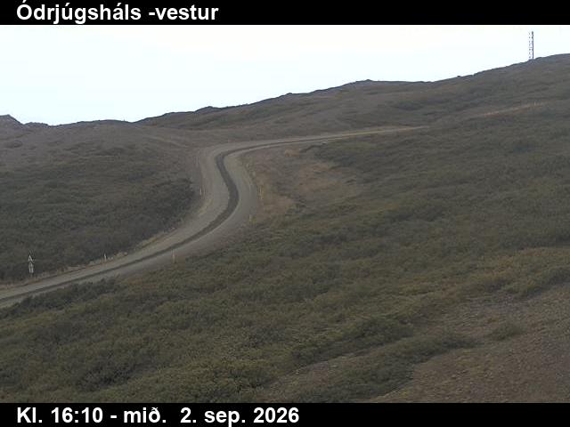 odrjugshals_4-1788373547.jpg