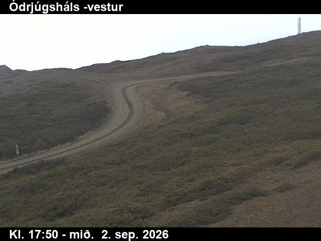 odrjugshals_4-1788379551.jpg