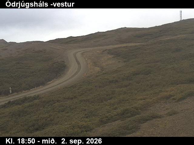 odrjugshals_4-1788383156.jpg